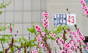 北京物资学院校园风光