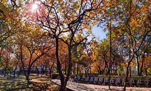 广西科技大学