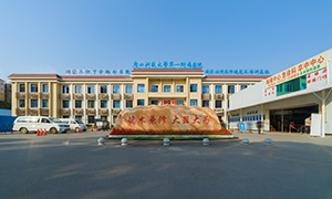 广西科技大学