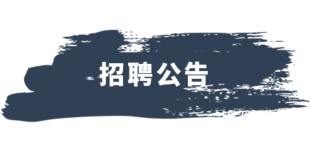 人才政策