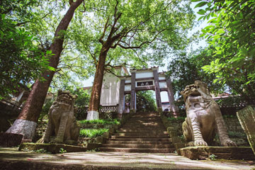 西南医科大学