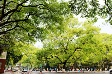 西南医科大学