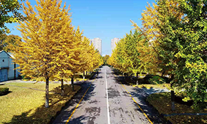 北方光电股份有限公司