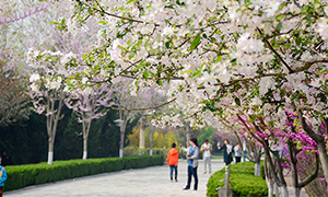 潍坊学院校园风采