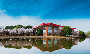 安徽工程大学