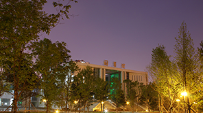 东北电力大学