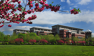 河北大学