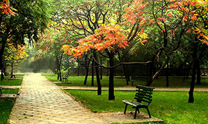 中北大学
