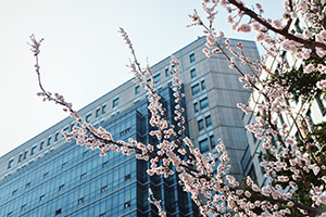 长春大学校园风采