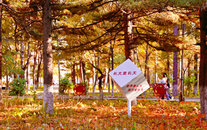 长春大学校园风采